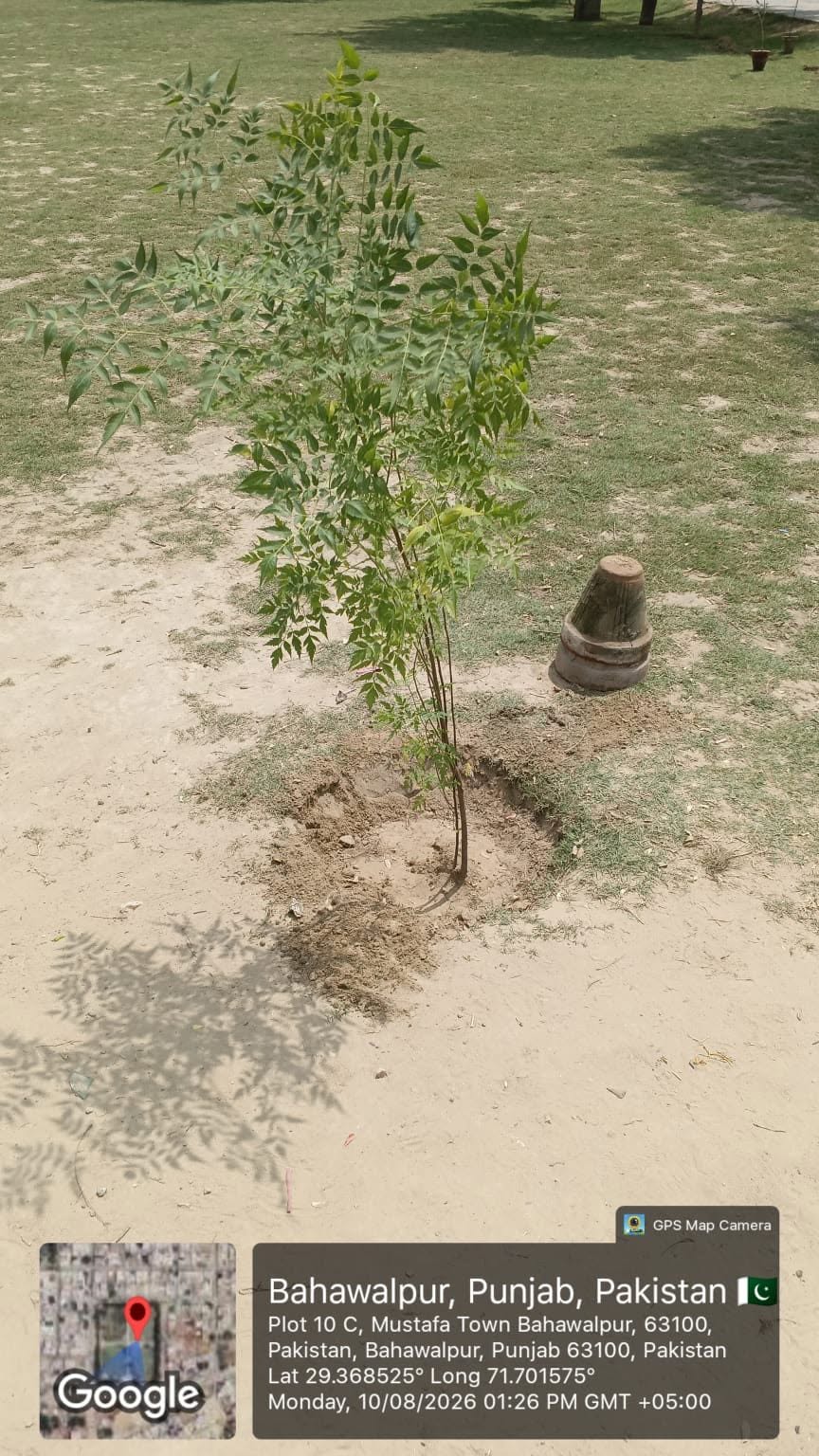 Monsoon Tree Plantation Drive 2026 Successfully Launched