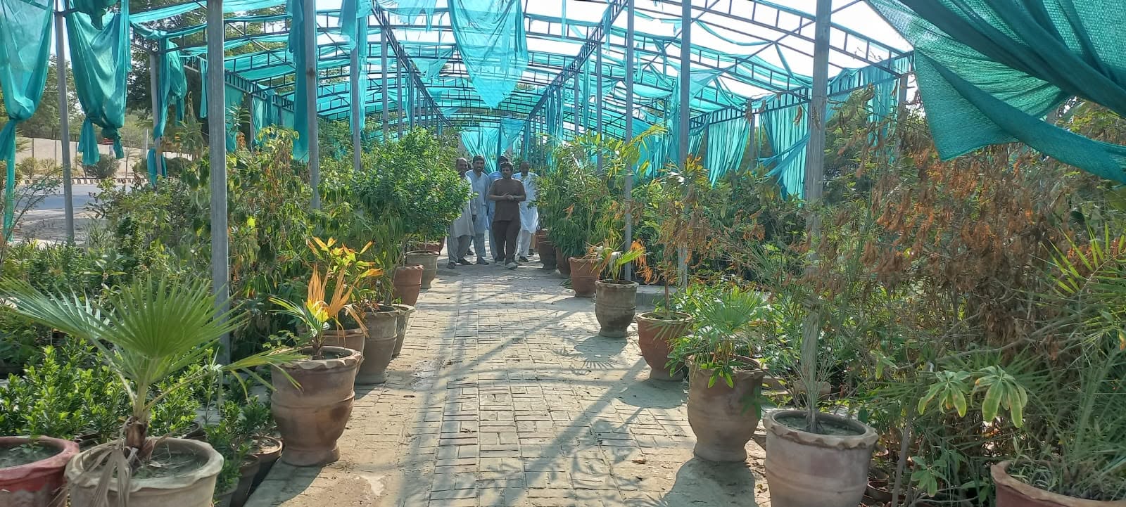 Managing Director Horticulture Agency Bahawalpur Visits Islami Colony Park and Horticulture Agency Nursery on Airport Road, Reviews Development Projects and Public Facilities