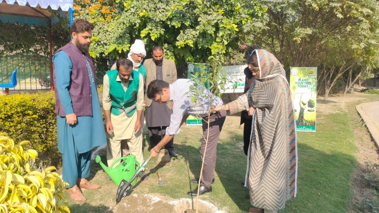 Madre e Millat Park Saraiki Chowk